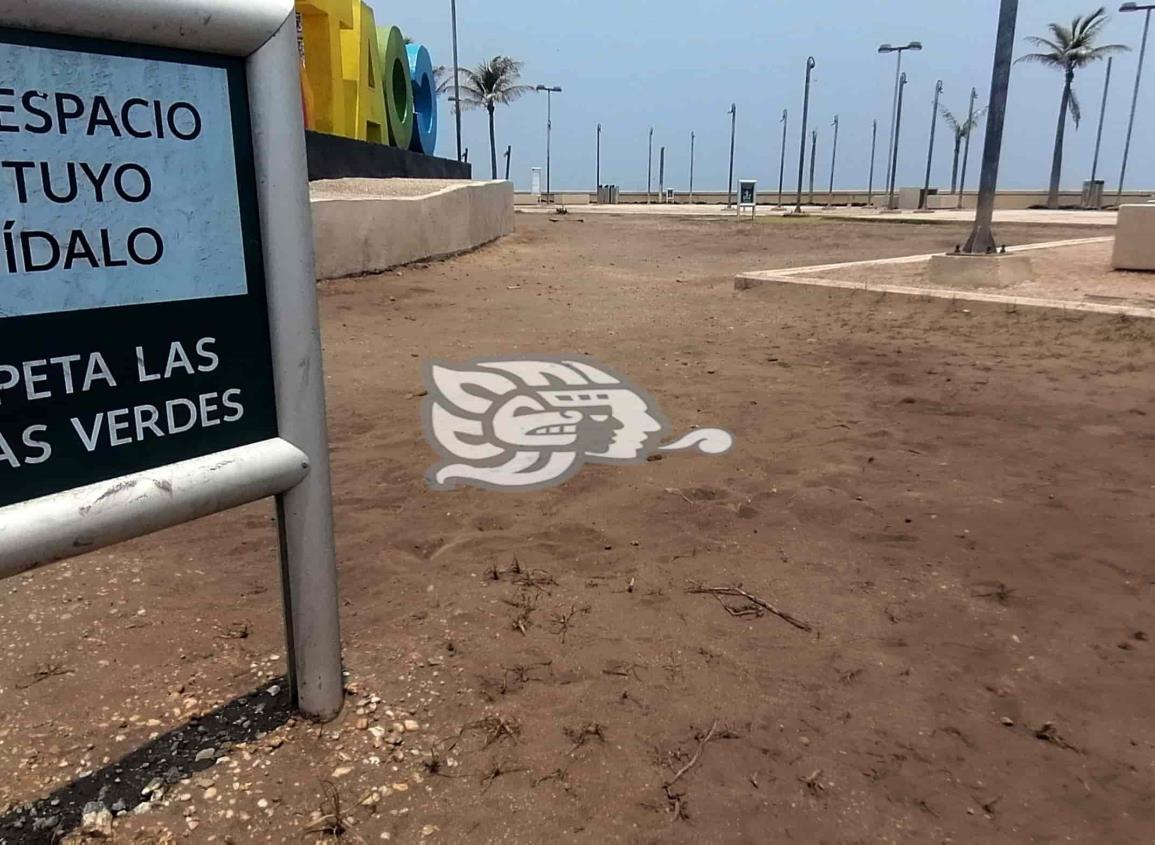 Sequía afecta al parque de los Niños Héroes; urge atención
