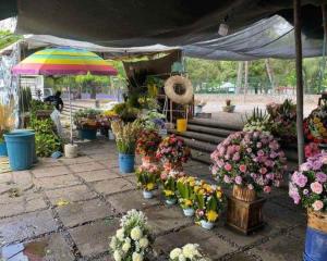 Florerías en Veracruz alistan los arreglos para el Día de las Madres