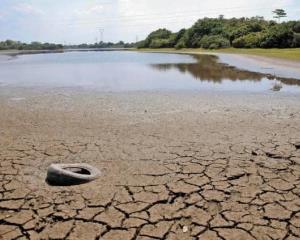 Tres municipios del sur de Veracruz presentan sequía extrema