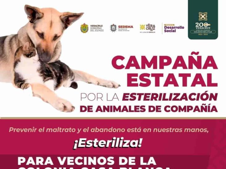 En Casa Blanca, Xalapa, jornada de esterilización animal