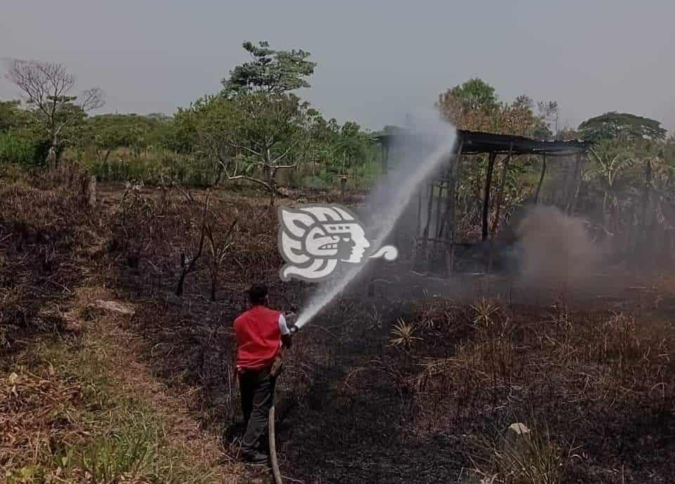 Más de 300 metros cuadrados de pastizales se incendiaron en Nanchital