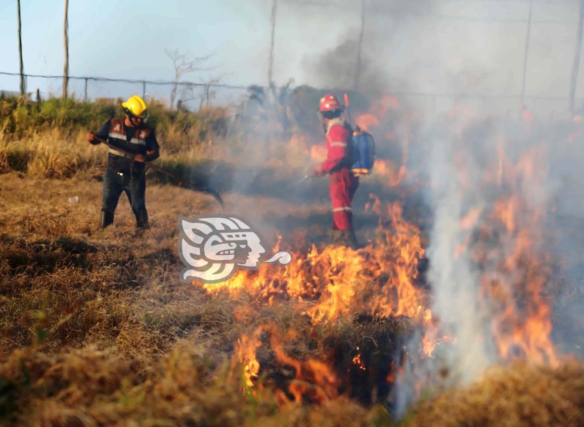 ¡Advertidos están! hasta 10 años de prisión a quienes provoquen incendios forestales