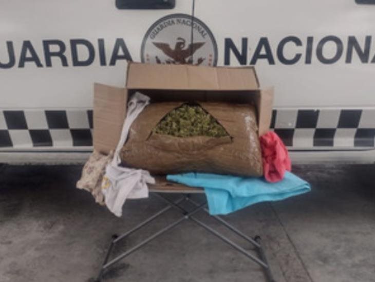 Binomio canino detecta paquetes de marihuana en paquetería de Jalisco