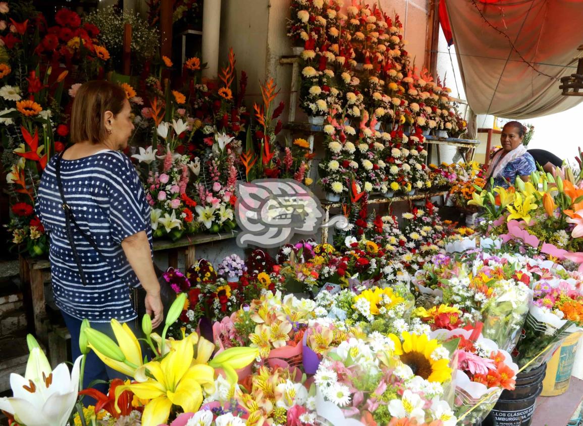 ¿Ya sabes cuáles regalarle a mamá?; esperan repunte en venta de flores (+Video)