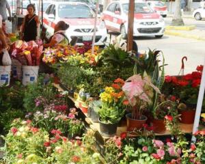 ¡Precio de flores se duplicaron!; comerciantes aprovechan la fecha del Día de Madres