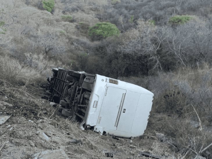 ¡Tragedia! Autobús cae a barranco; transportaba equipo infantil de futbol