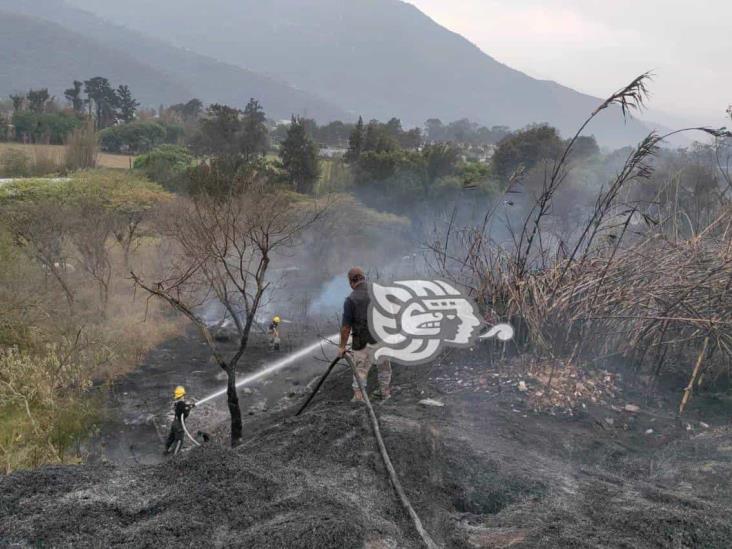Incendios en Rafael Delgado y Nogales generan movilización de cuerpos de emergencias