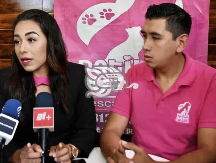 FGE Veracruz no se toma enserio el maltrato animal