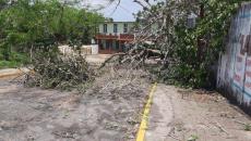 ¡La furia de la naturaleza!, tormenta deja un sinnúmero de afectaciones en Agua Dulce (+Video)
