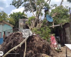 ¡Vuelan techos! Tromba provoca severos daños en Villa Cuichapa