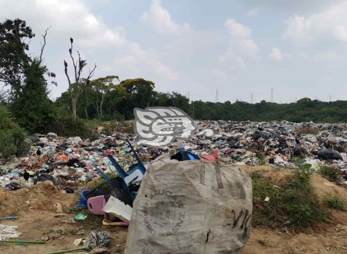 Tiradero al aire libre de Nanchital está rebosando basura