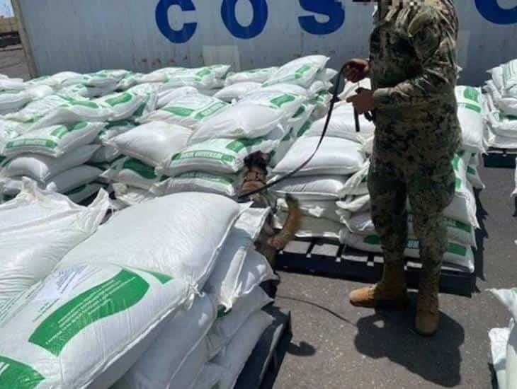 Semar asegura 26.5 toneladas de cocaína en Veracruz; provenía de Colombia