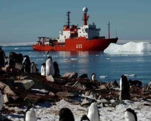 Antártida, punto clave ante cambio climático: Miguel Rubio