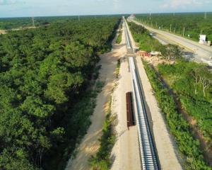 Concede juez suspensión definitiva contra tala en cuatro tramos del Tren Maya