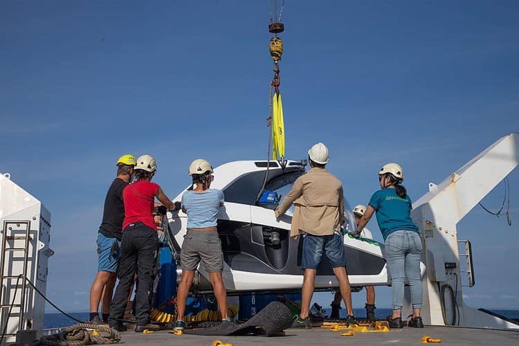 Gasoducto pone en riesgo arrecifes de Veracruz, asegura Greenpeace