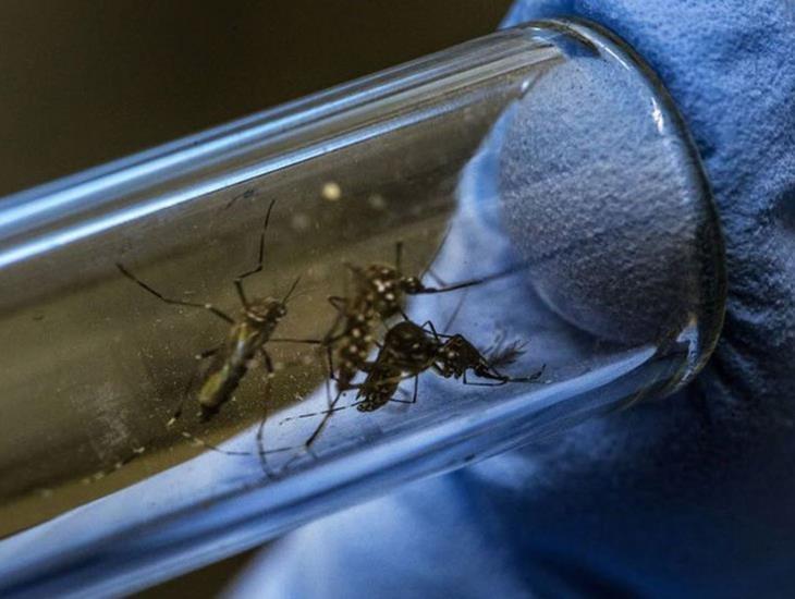 Repuntaron casi 62% casos de dengue en Veracruz
