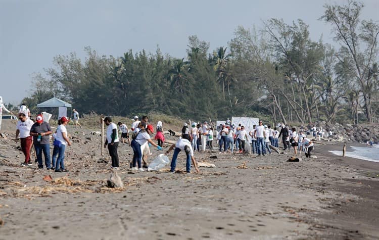 Limpian las playas de Boca del Río por contaminación y microplásticos
