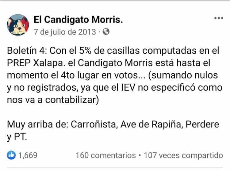 No es broma: Hace 10 años un gato fue candidato para el proceso electoral 2013 en Xalapa