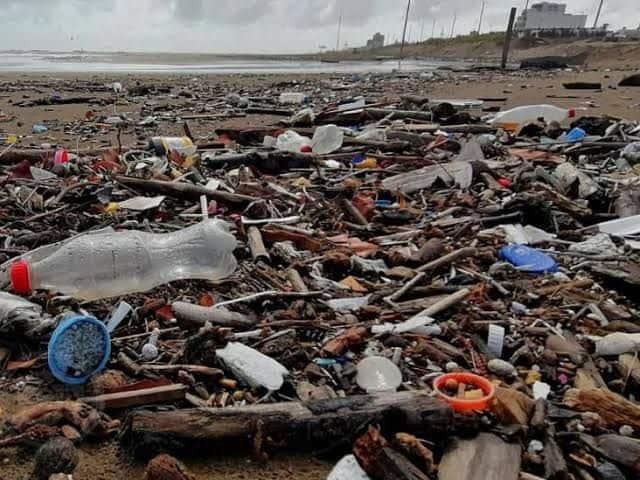 Aun está en nuestras manos: biólogo marino invita a toda la población a cuidar el medio ambiente