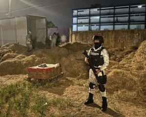 Entre paja escondían cargamento de cocaína; Guardia Nacional los detiene en Acayucan
