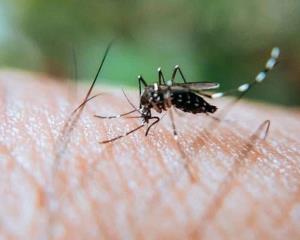 Veracruz en tercer lugar nacional en casos de dengue