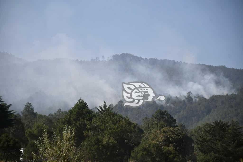 En Perote, fuego devora 50 hectáreas y en Las Vigas 10 (+Video)