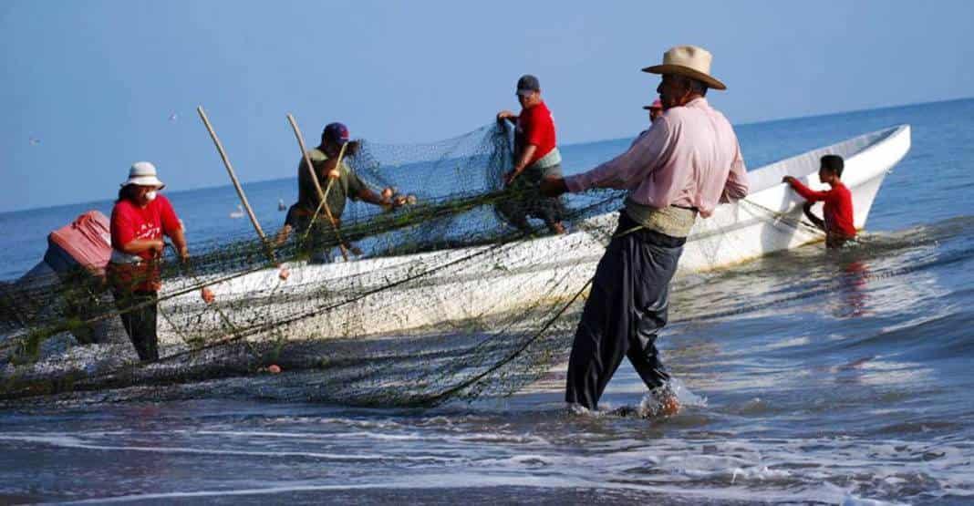 Alista apoyos la Secretaría del Bienestar para pescadores de Veracruz
