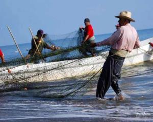 Ola de calor impide a pescadores laboral en Veracruz