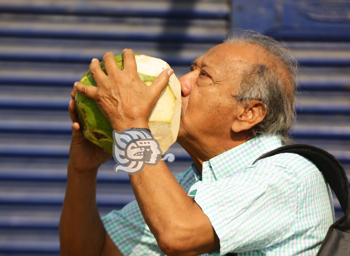 Refrescante agua de coco, remedio de porteños contra deshidratación y calor
