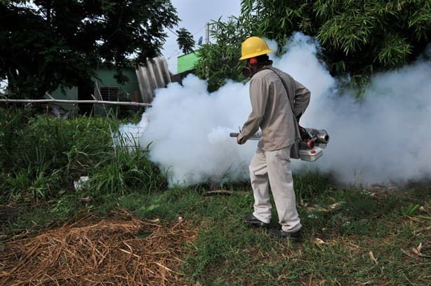 Casos de dengue en Coatzacoalcos se elevó en comparación a 2022; repuntó un 65.05%