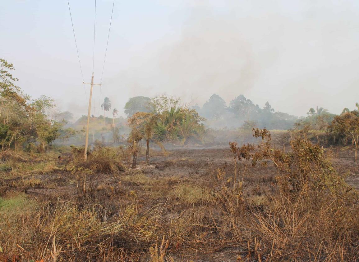 Zona rural de Las Choapas continúa ardiendo; cuatro incendios forestales permanecen los límites entre Veracruz y Chiapas
