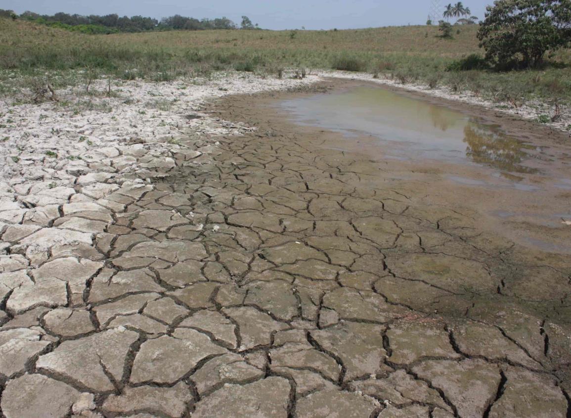 Zona rural de Las Choapas enfrenta una severa sequía y escases de agua