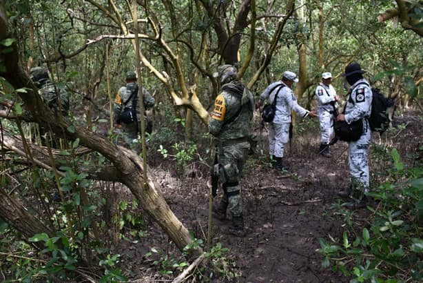 Exhuman madres buscadoras 17 cuerpos de fosa clandestina en Alvarado