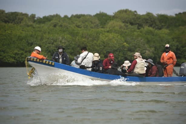 Exhuman madres buscadoras 17 cuerpos de fosa clandestina en Alvarado