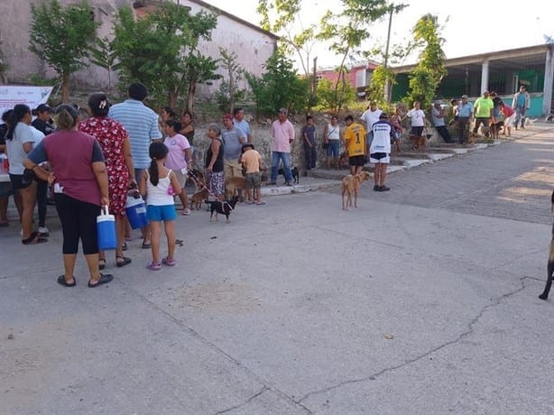 Vacunan a más de 300 mascotas contra la rabia en Texistepec