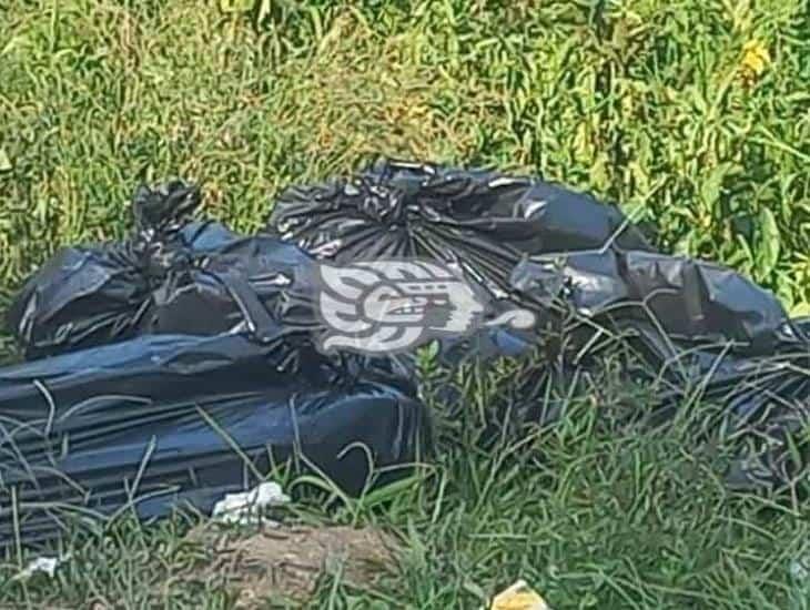 Veracruz: encuentran bolsas con restos humanos en Zongolica