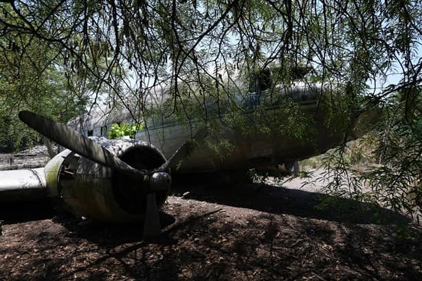 Avión de narcos abandonado, un atractivo turístico en Veracruz (+video)