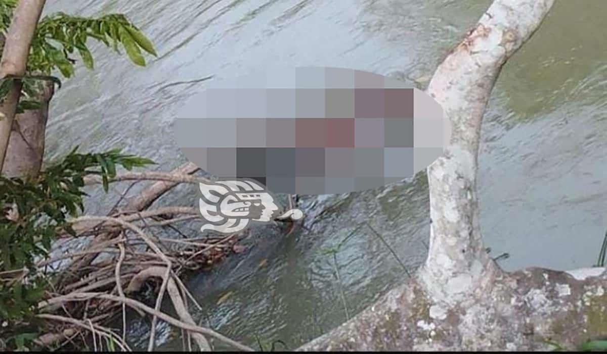 Localizan cuerpo putrefacto en arroyo en Moloacán 
