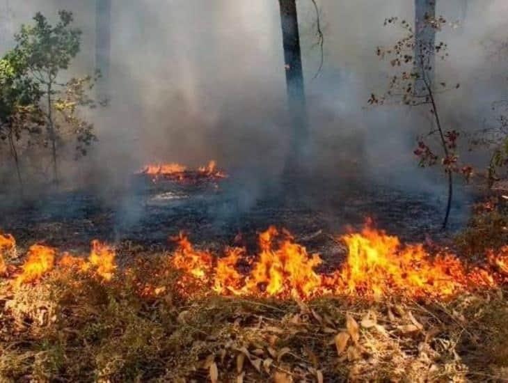 Más de 10 incendios se han presentado en Las Matas este 2023