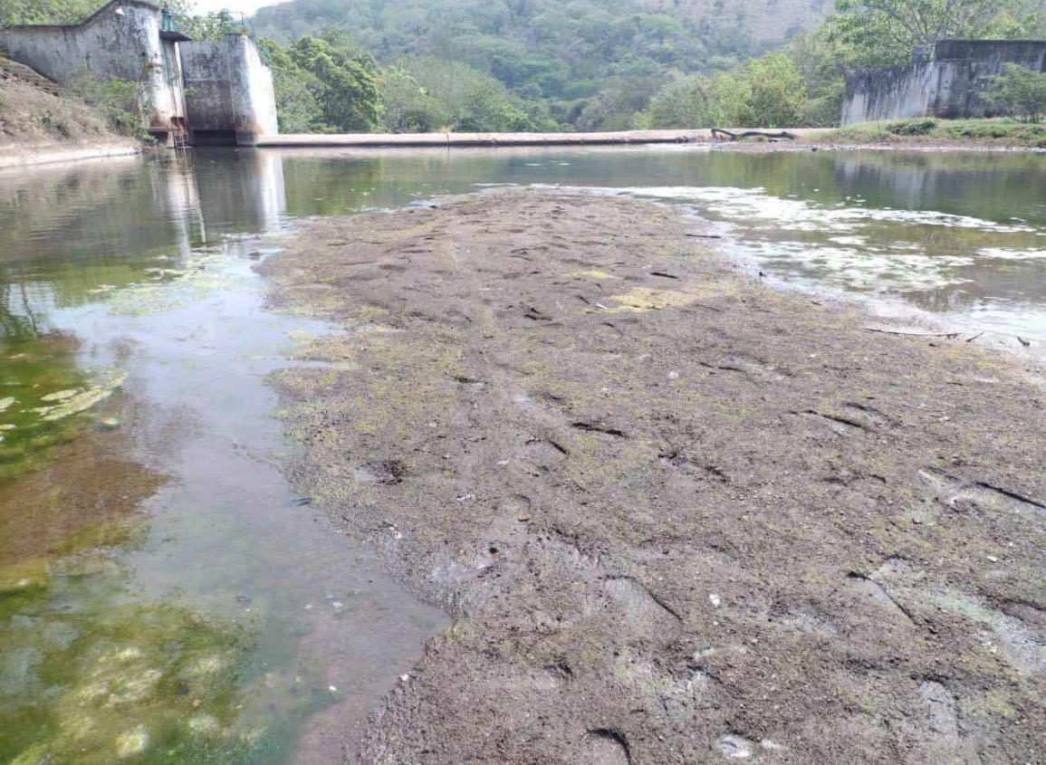 Veracruz en riesgo: Los ríos se secan