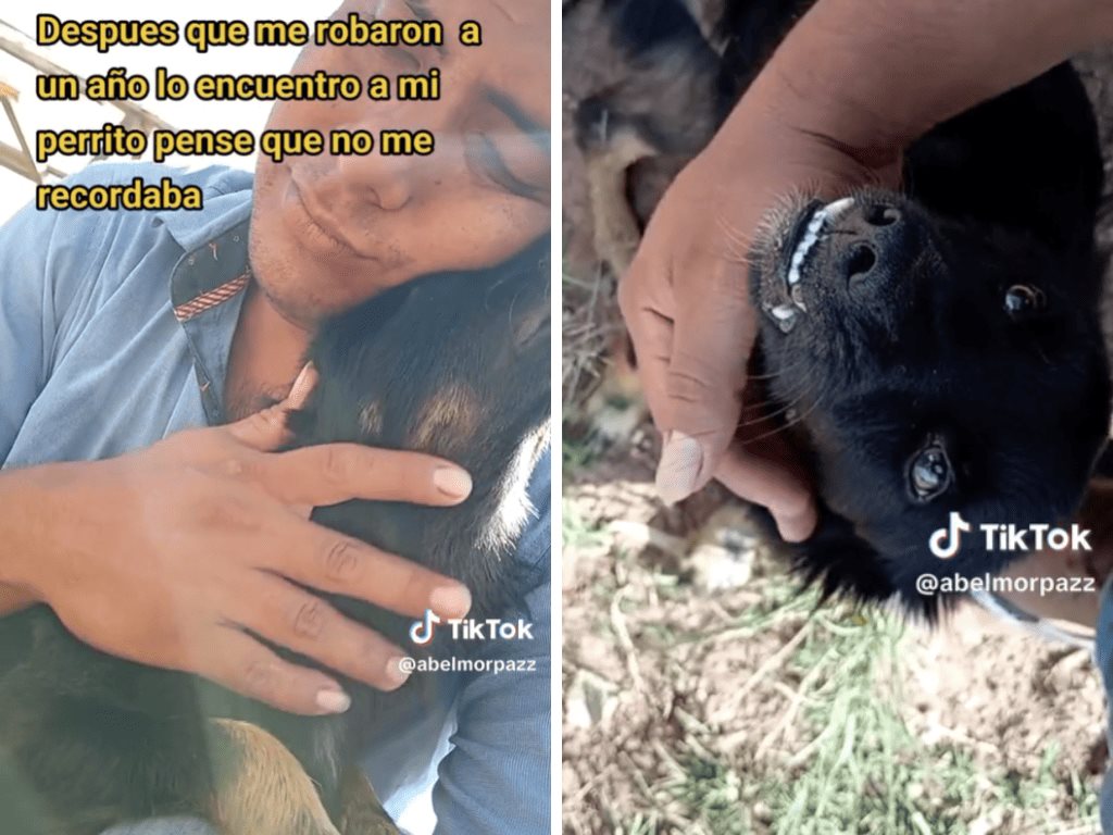Joven recupera a su perrito después de que se lo robaran hace un año: La reacción de ambos es conmovedora | VIDEO