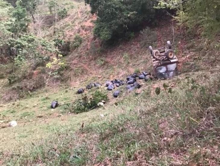 Trabajador pierde la vida al ser aplastado por un tractor en zona rural de Las Choapas