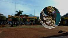Depredación de cangrejo azul en zona serrana del sur de Veracruz; ¡hasta en 40 pesos un ejemplar!