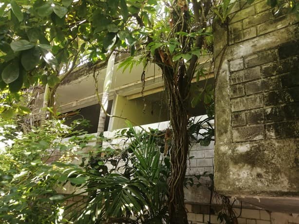 Rematan en 5 mdp antiguo domicilio de Salma Hayek en Coatzacoalcos | VIDEO