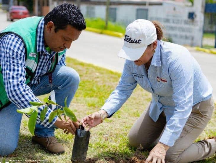 Realizan jornada de reforestación en el municipio de Minatitlán