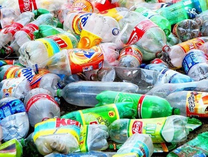 Por programa de separación de basura, podrás vender tus botellas de PET ¡A guardar residuos de plástico!