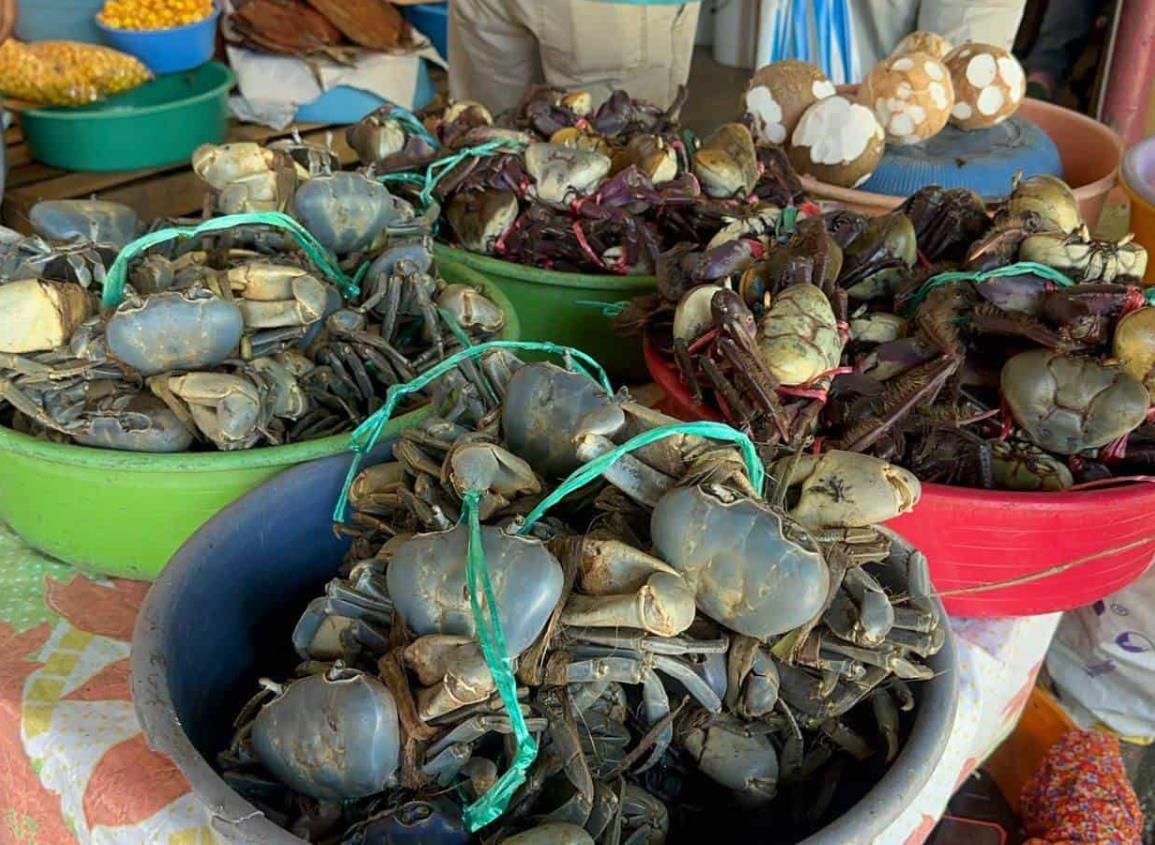 Consterna desmedida compra y venta ilegal del cangrejo azul en Coatzacoalcos