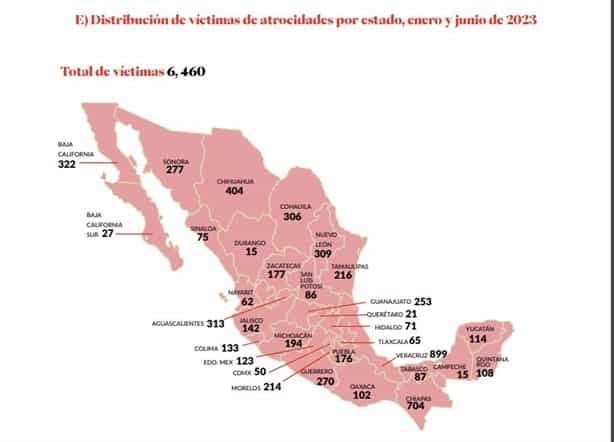 Veracruz, el estado con más víctimas por violencia: Causa en Común