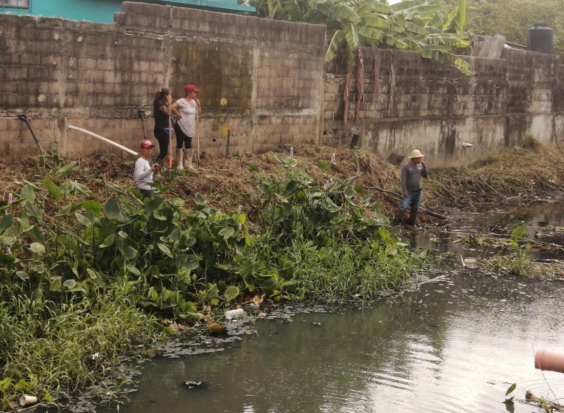 Retiran toneladas de basura, lirio y lodo de canales en Coatzacoalcos | VIDEO