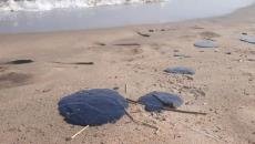 Nuevo derrame de hidrocarburos en costa del Golfo de México; afectó a más de 400 pescadores